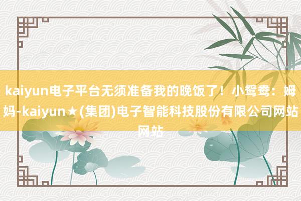 kaiyun电子平台无须准备我的晚饭了！小鸳鸯：姆妈-kaiyun★(集团)电子智能科技股份有限公司网站