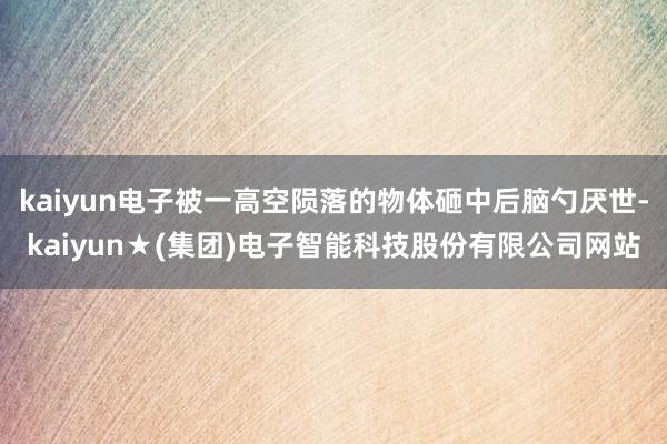 kaiyun电子被一高空陨落的物体砸中后脑勺厌世-kaiyun★(集团)电子智能科技股份有限公司网站