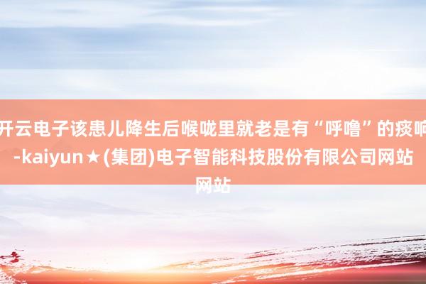 开云电子该患儿降生后喉咙里就老是有“呼噜”的痰响-kaiyun★(集团)电子智能科技股份有限公司网站